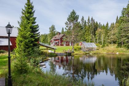 Bild av närområdet