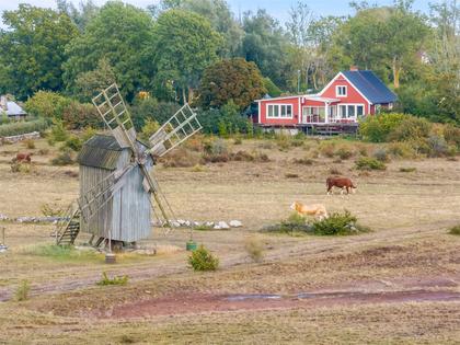 Bild av närområdet