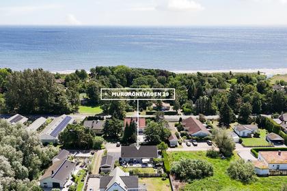Bild av närområdet