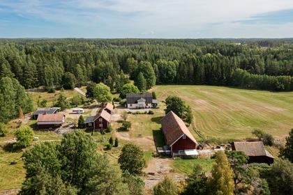 Bild av närområdet