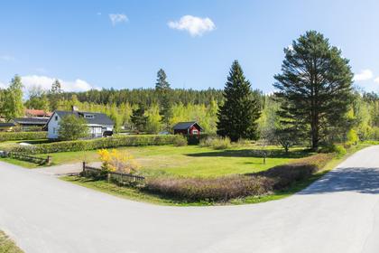 Bild av närområdet