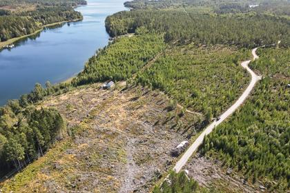 Bild av närområdet