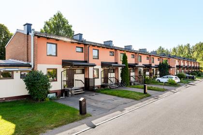 Bild av närområdet