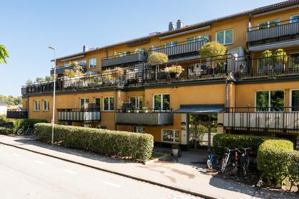 Bild av närområdet