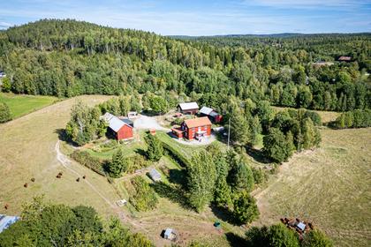 Åmot Mellan 1, Brunskog