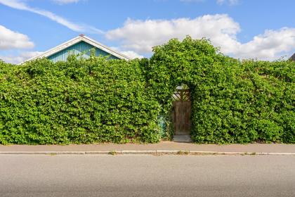 Exteriörbild