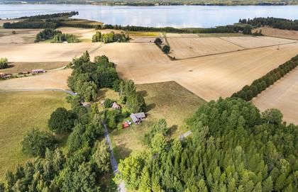 Kårby 60, Ekebyborna