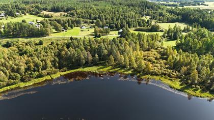 Falmarksheden 251, Falmarksheden
