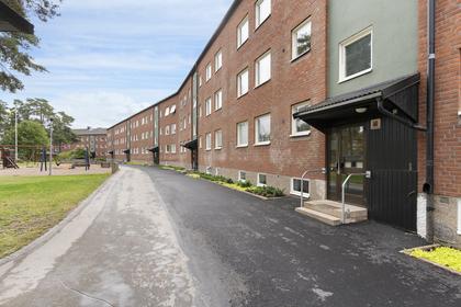 Hjortmossegatan 96, Hjortmossen
