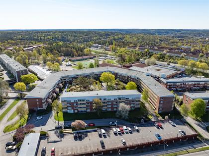 Bild av närområdet