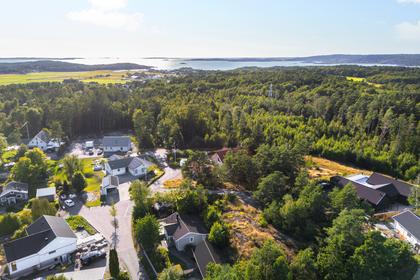 Bild av närområdet