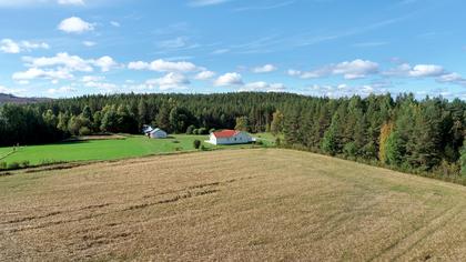 Bild av närområdet