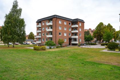 Bild av närområdet