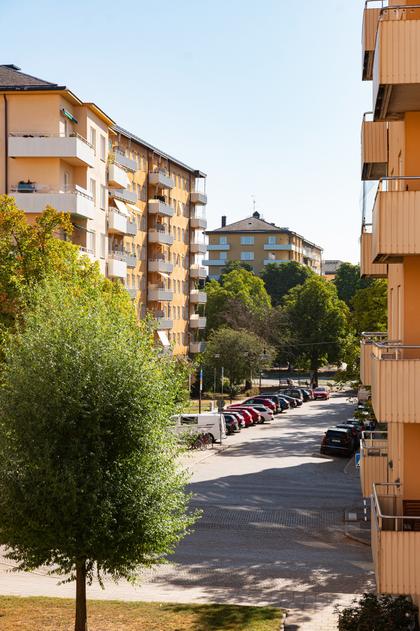 Bild av närområdet