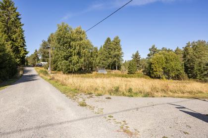 Bild av närområdet