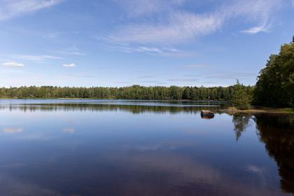 Skogen 4, Hultsfred