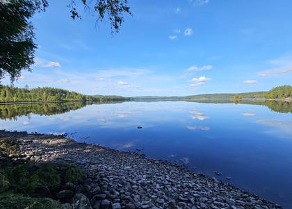 Bild av närområdet