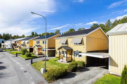 Bild av närområdet