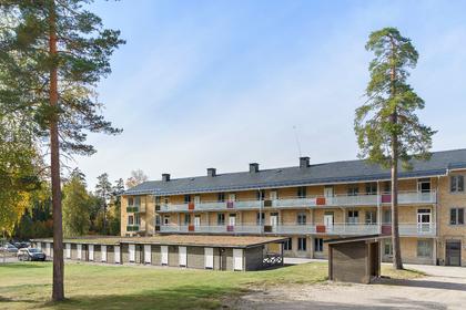 Bild av närområdet