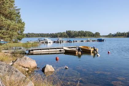 Bild av närområdet