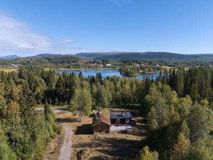 Bild av närområdet