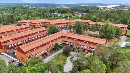 Bild av närområdet
