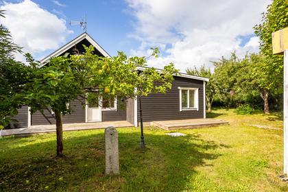 Myrbrinken 4, Fågelsången