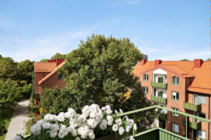 Sofiavägen 5A, Möllevången