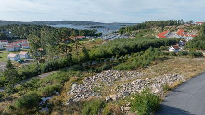 Bild av närområdet
