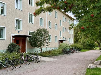 Tegnérgatan 36C, Luthagen
