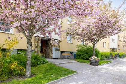 Exteriörbild