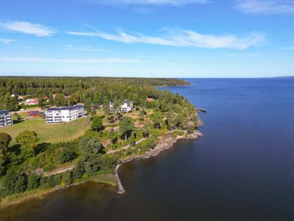 Bild av närområdet