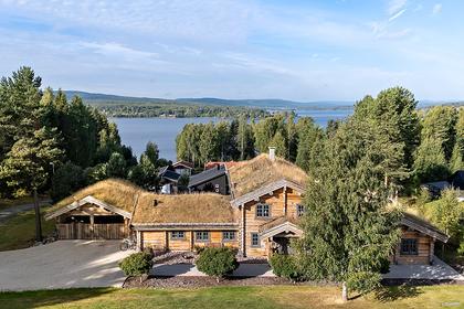 Bild av närområdet