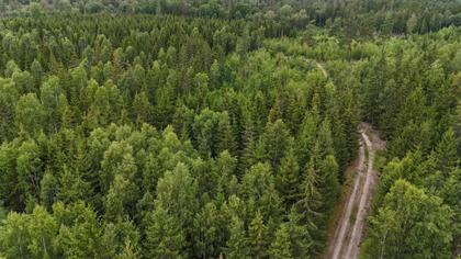 Illustrerad karta över fastigheten eller området