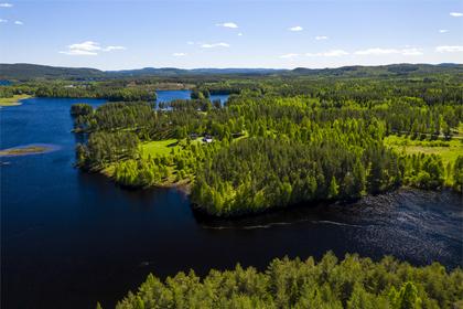 Bild av närområdet