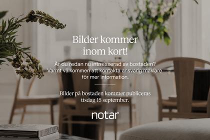 Kök eller matrum