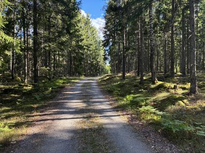 Bild av närområdet