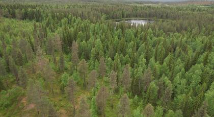 Illustrerad karta över fastigheten eller området