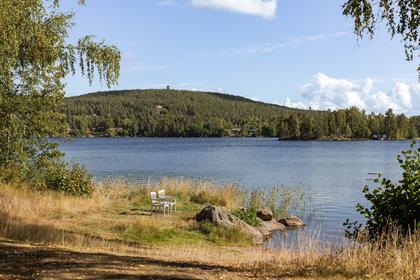 Bild av närområdet