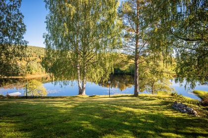 Bild av närområdet