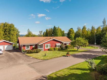 Bild av närområdet
