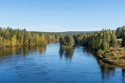 Bild av närområdet