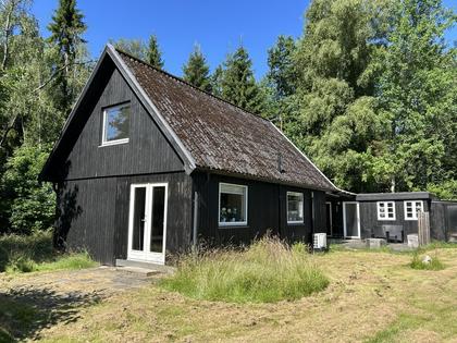 Bild av närområdet