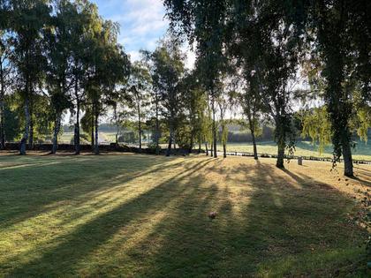 Bild av närområdet