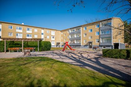 Bild av närområdet