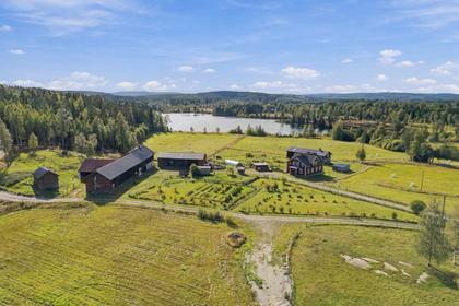 Bild av närområdet