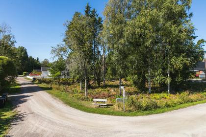 Bild av närområdet