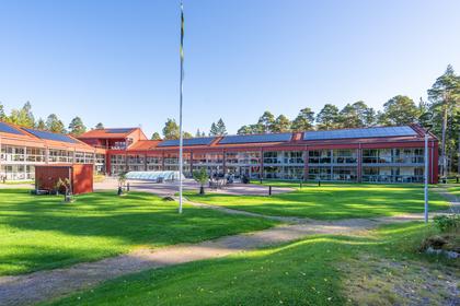Bild av närområdet