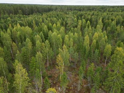 Illustrerad karta över fastigheten eller området