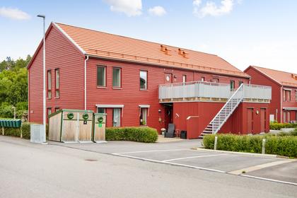 Bild av närområdet